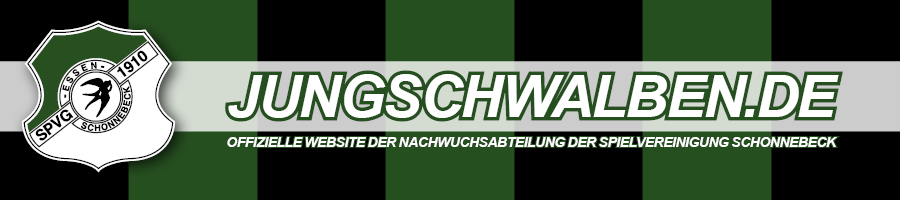 www.jungschwalben.de