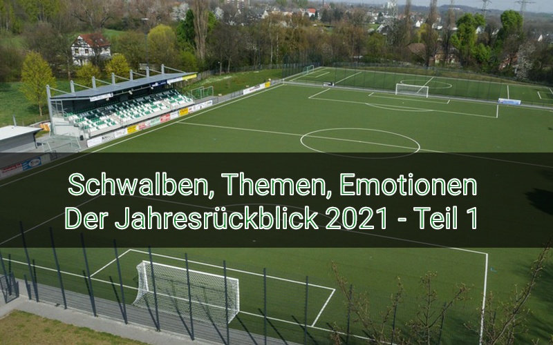 Schwalben, Themen, Emotionen – Der Jahresrückblick 2021 Teil 1 post thumbnail image