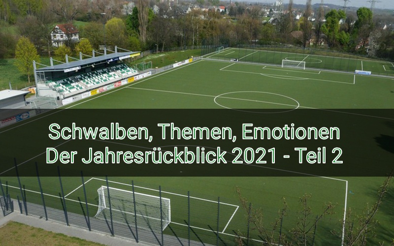Schwalben, Themen, Emotionen – Der Jahresrückblick 2021 Teil 2 post thumbnail image