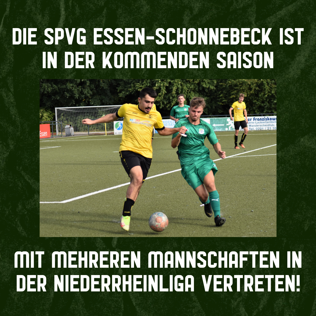 Spielvereinigung Essen-Schonnebeck nächstes Jahr mit mehreren Jugendmannschaften in der Niederrheinliga post thumbnail image